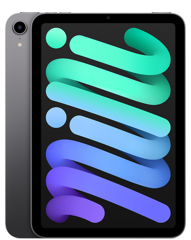 Apple iPad Mini 64GB WiFi (6th Gen) [Space Grey] NDIS — Assistive Tech